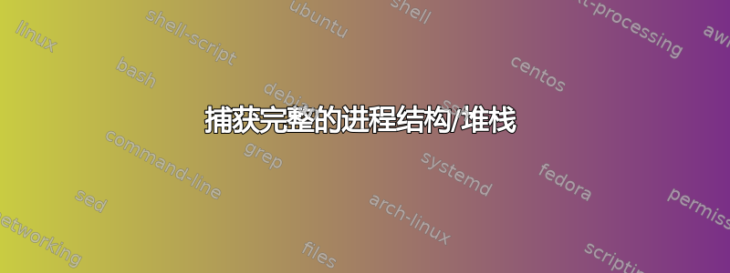 捕获完整的进程结构/堆栈