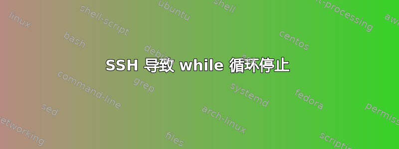 SSH 导致 while 循环停止