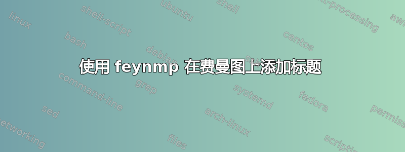 使用 feynmp 在费曼图上添加标题