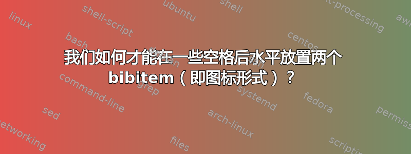 我们如何才能在一些空格后水平放置两个 bibitem（即图标形式）？