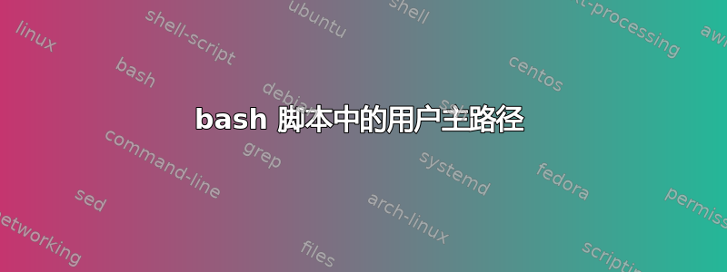 bash 脚本中的用户主路径