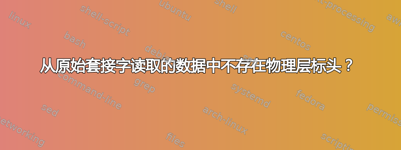 从原始套接字读取的数据中不存在物理层标头？