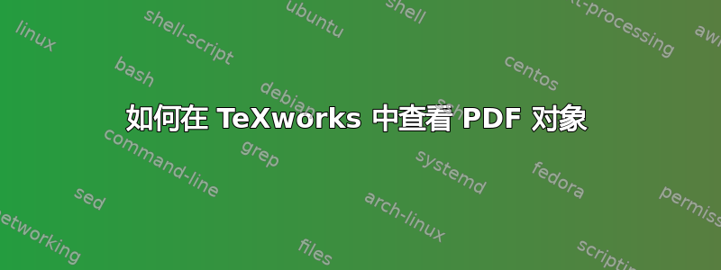 如何在 TeXworks 中查看 PDF 对象