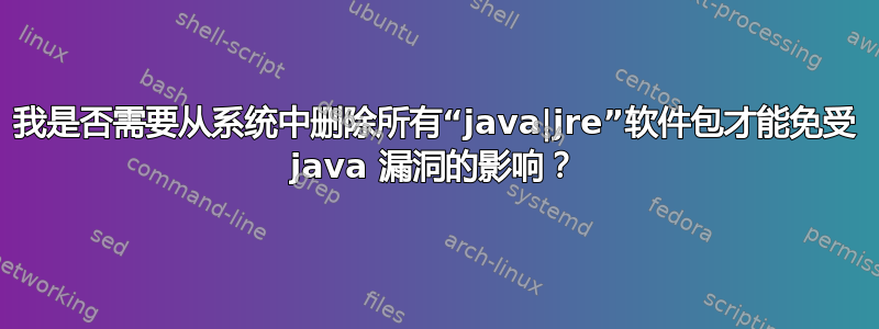 我是否需要从系统中删除所有“java|jre”软件包才能免受 java 漏洞的影响？