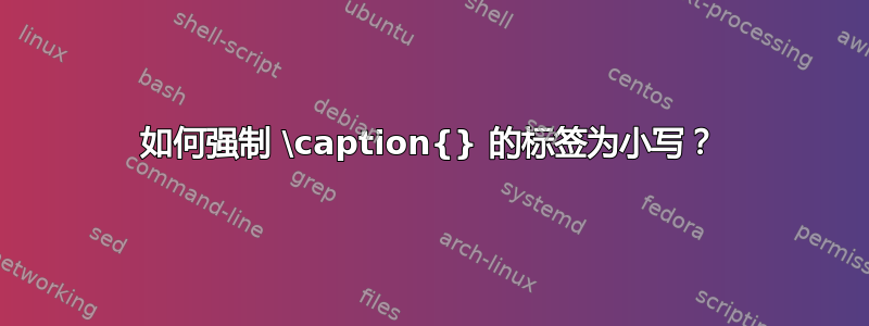 如何强制 \caption{} 的标签为小写？