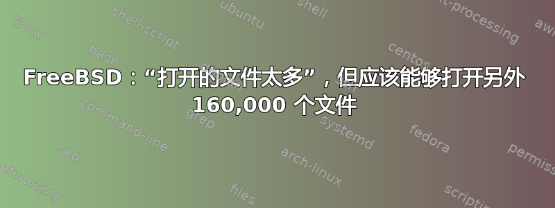 FreeBSD：“打开的文件太多”，但应该能够打开另外 160,000 个文件