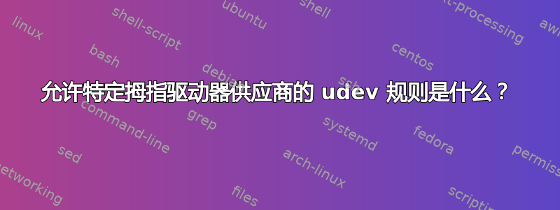 允许特定拇指驱动器供应商的 udev 规则是什么？