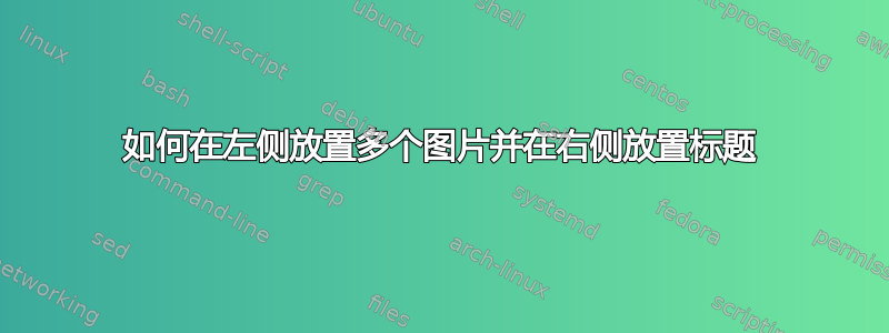 如何在左侧放置多个图片并在右侧放置标题