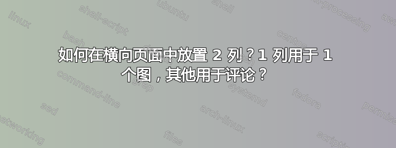 如何在横向页面中放置 2 列？1 列用于 1 个图，其他用于评论？