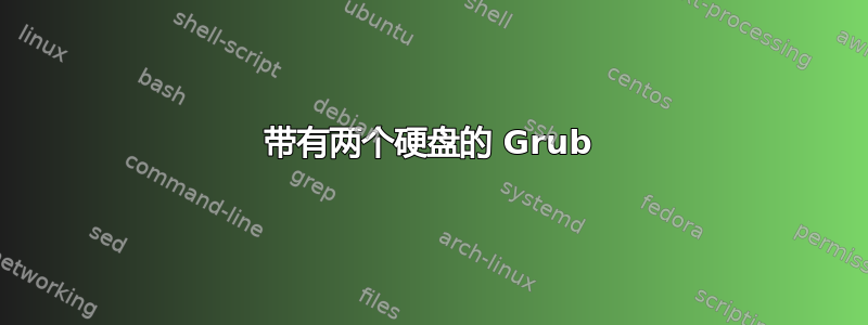 带有两个硬盘的 Grub