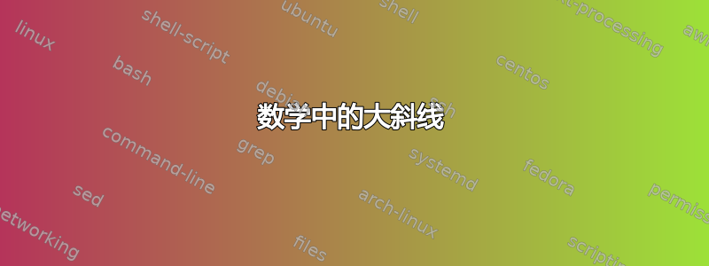 数学中的大斜线