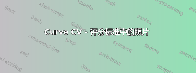 Curve CV - 评分标准中的照片