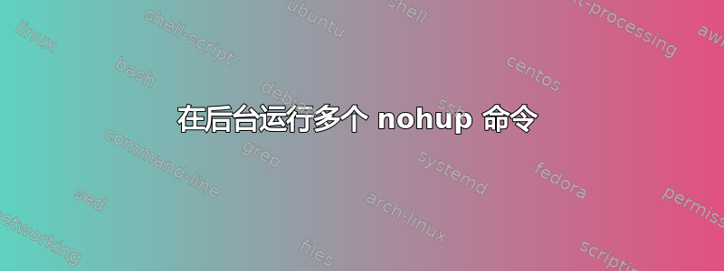 在后台运行多个 nohup 命令