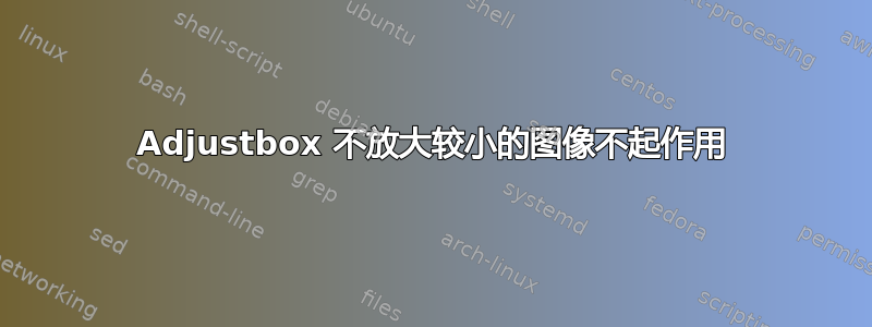 Adjustbox 不放大较小的图像不起作用