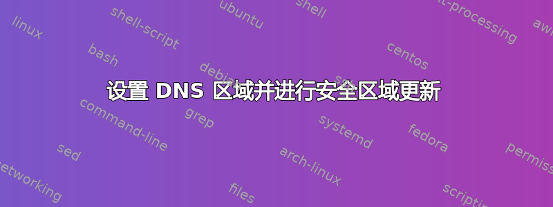 设置 DNS 区域并进行安全区域更新