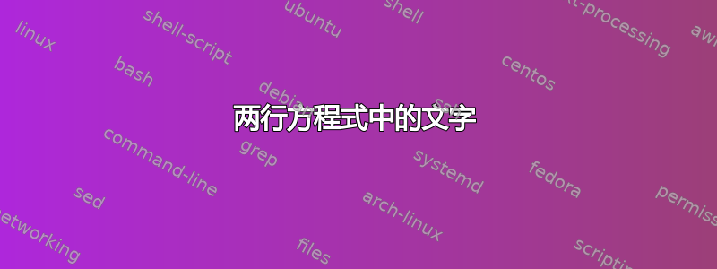 两行方程式中的文字