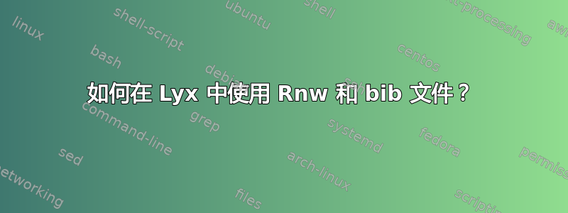 如何在 Lyx 中使用 Rnw 和 bib 文件？