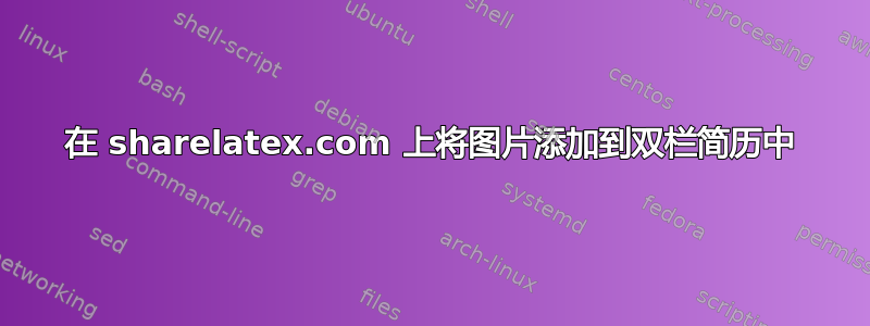 在 sharelatex.com 上将图片添加到双栏简历中