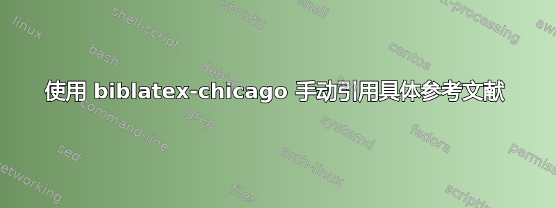 使用 biblatex-chicago 手动引用具体参考文献