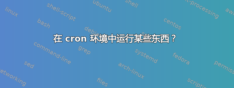 在 cron 环境中运行某些东西？