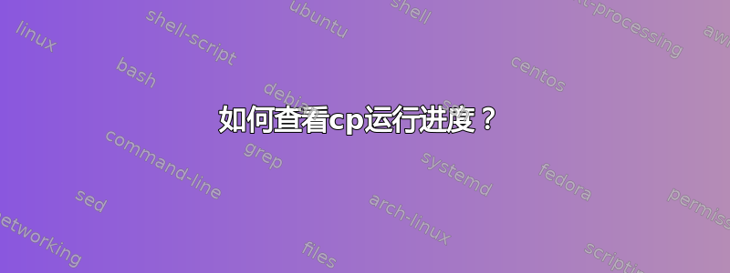 如何查看cp运行进度？