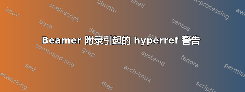 Beamer 附录引起的 hyperref 警告