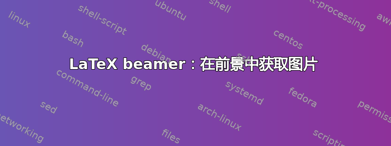 LaTeX beamer：在前景中获取图片