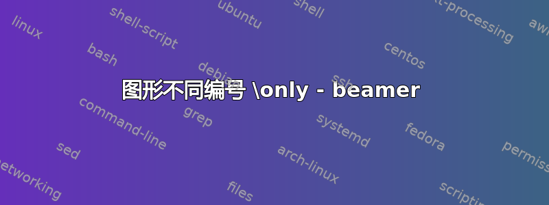 图形不同编号 \only - beamer