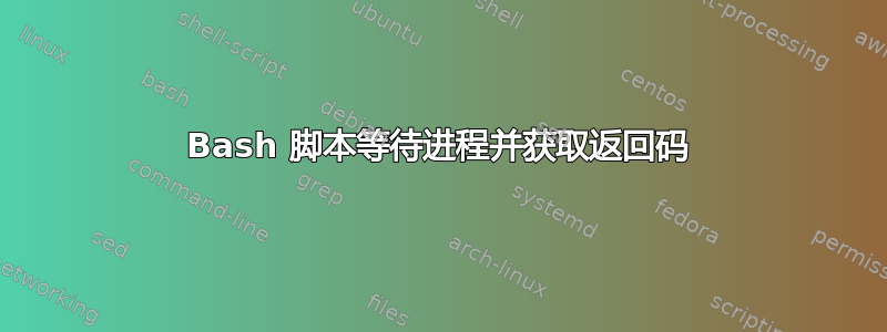 Bash 脚本等待进程并获取返回码