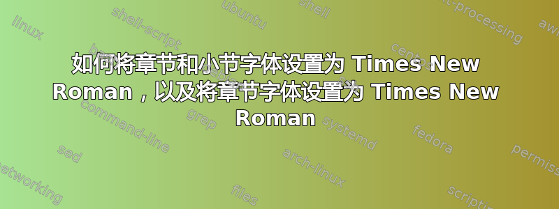 如何将章节和小节字体设置为 Times New Roman，以及将章节字体设置为 Times New Roman