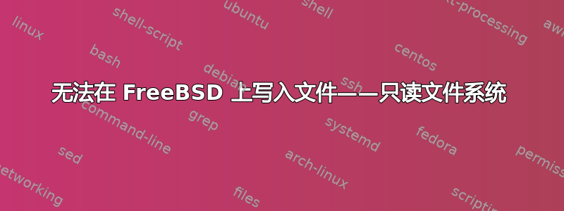 无法在 FreeBSD 上写入文件——只读文件系统