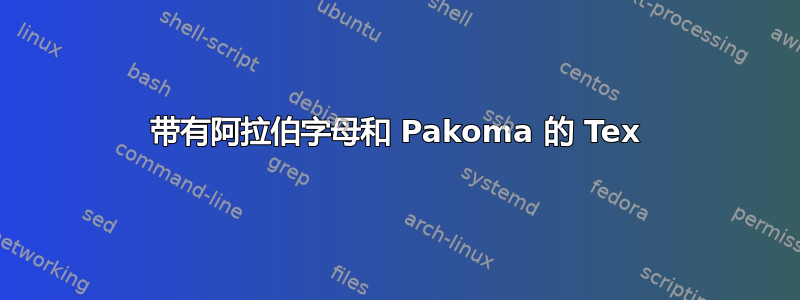 带有阿拉伯字母和 Pakoma 的 Tex