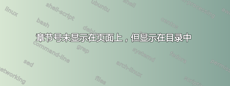 章节号未显示在页面上，但显示在目录中