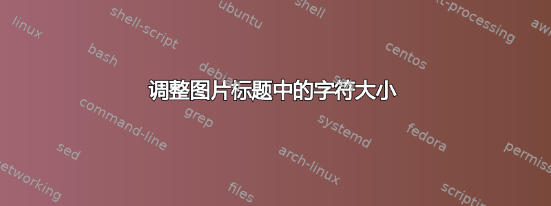 调整图片标题中的字符大小