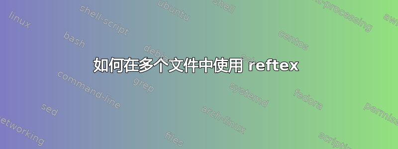 如何在多个文件中使用 reftex