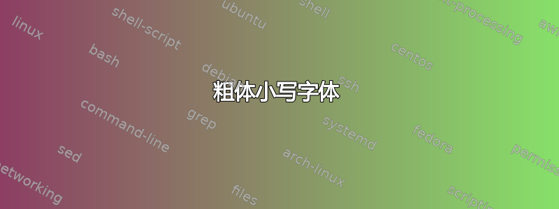 粗体小写字体