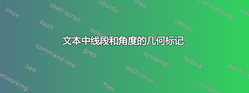 文本中线段和角度的几何标记