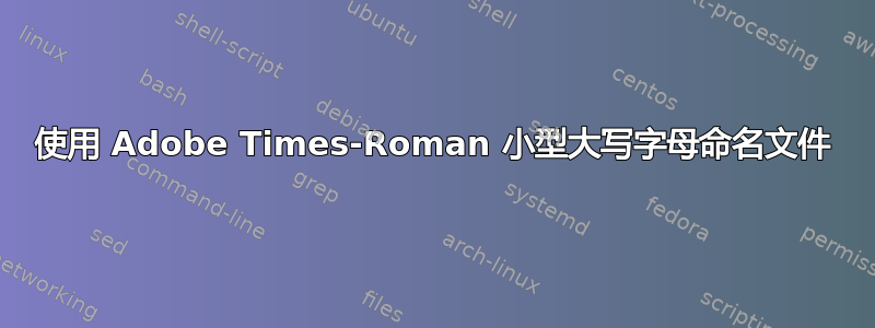 使用 Adob​​e Times-Roman 小型大写字母命名文件