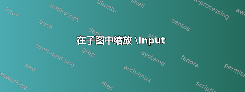 在子图中缩放 \input