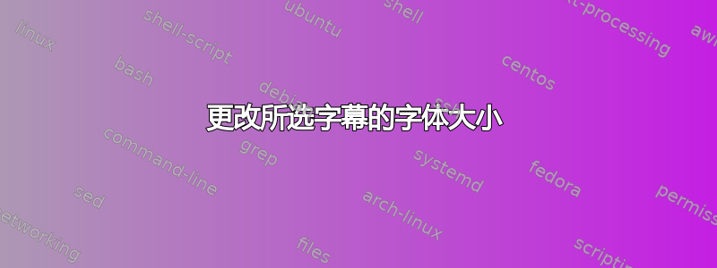 更改所选字幕的字体大小