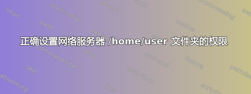 正确设置网络服务器 /home/user 文件夹的权限