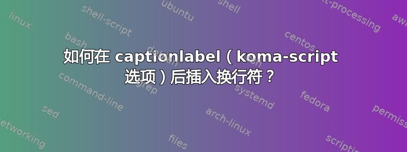 如何在 captionlabel（koma-script 选项）后插入换行符？