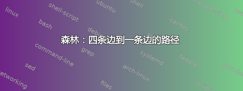 森林：四条边到一条边的路径