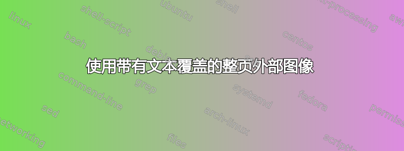 使用带有文本覆盖的整页外部图像