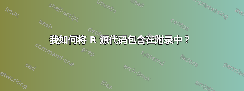 我如何将 R 源代码包含在附录中？