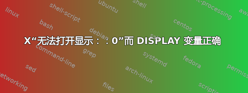 X“无法打开显示：：0”而 DISPLAY 变量正确