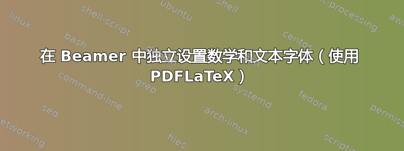 在 Beamer 中独立设置数学和文本字体（使用 PDFLaTeX）