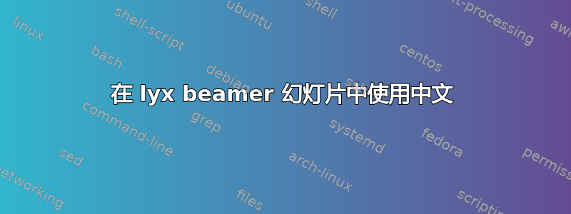 在 lyx beamer 幻灯片中使用中文