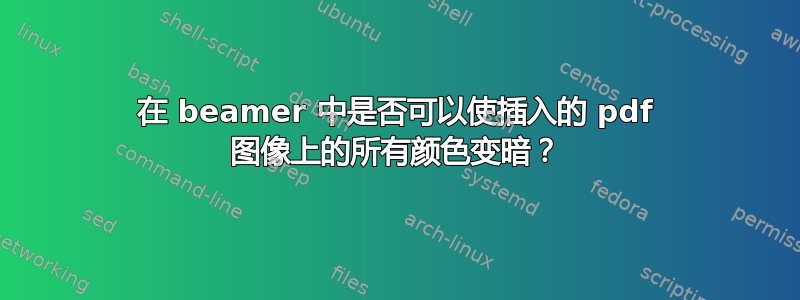 在 beamer 中是否可以使插入的 pdf 图像上的所有颜色变暗？