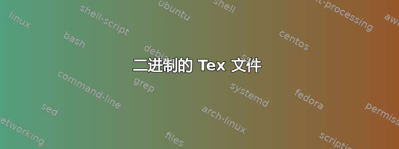 二进制的 Tex 文件